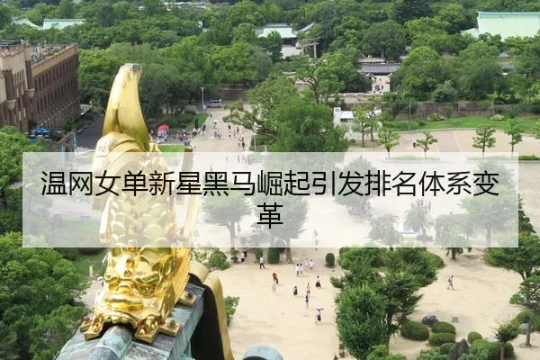 温网女单新星黑马崛起引发排名体系变革 - HengDa